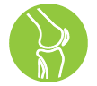knee icon